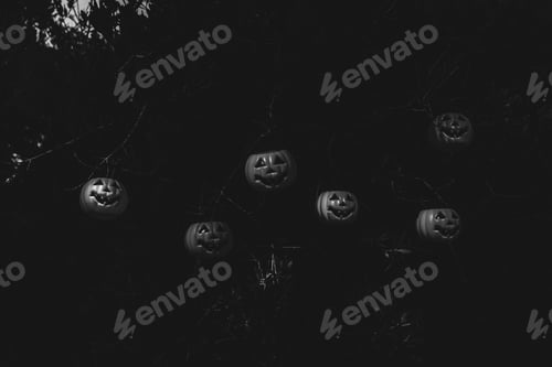 Preview: Halloween pumpkins
