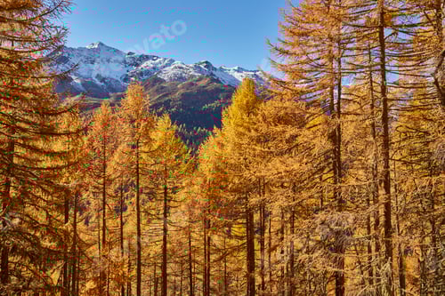 Preview: Scenic view, Schnalstal, South Tyrol, Italy