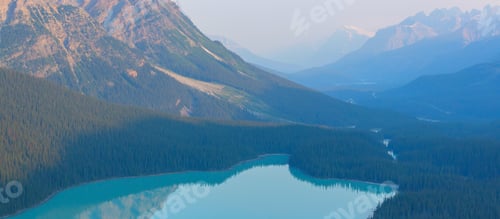 Preview: Peyto lake