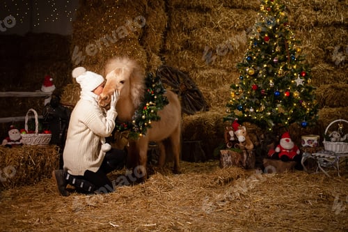 Preview: Christmas decorations on the stables