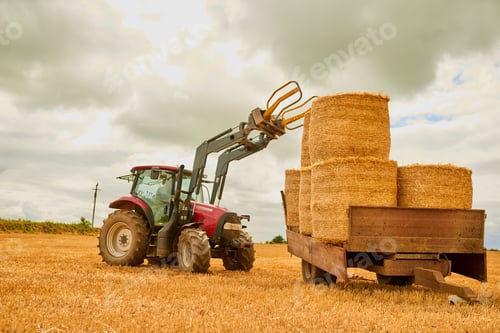Preview: Keeping his farm neat and tidy