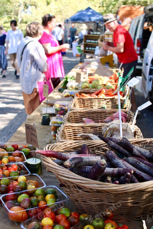 Preview: Grocery farm market