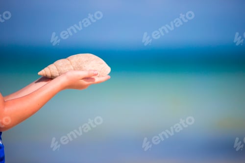 Preview: Closeup of hands holding beautiful seashells background the ocean