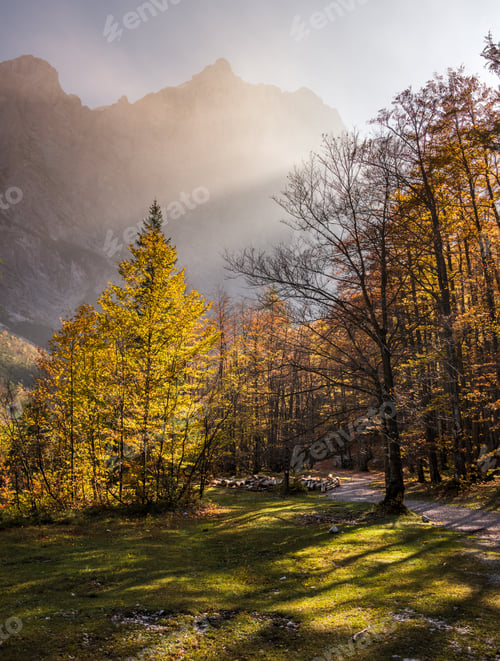 Preview: Autumn Colors