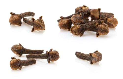 Preview: clove spices on white background