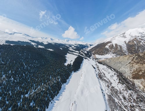 Preview: Aerial view of a snowy mountain valley with a dense pine forest
