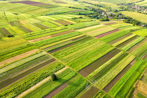 Preview: Aerial view of green agricultural fields in spring