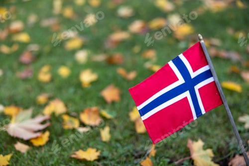 Preview: Small flag of Norway in a park against blurred leaves on the ground on its background