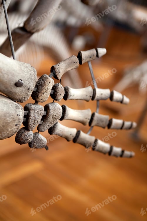 Preview: Skeleton