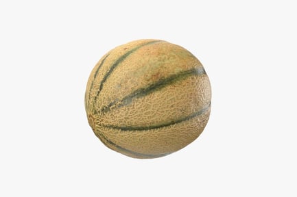 Preview: Textured Cantaloupe Melon with Dark Stripes
