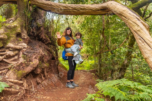 Preview: Woman and son looking at a tree on the trail in the moss tree forest of Garajonay National Park