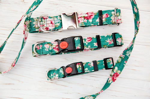 Preview: Dog Collar and Leash set. Pet Supplies and Walking Gear Collection