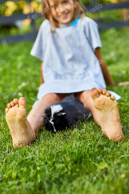 Preview: A little girl play with Black Guinea pig sitting outdoors in summer