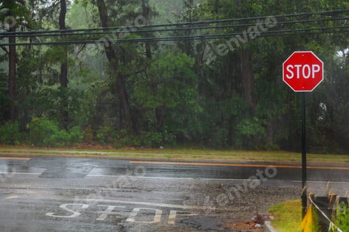 Preview: Rain drops in the water