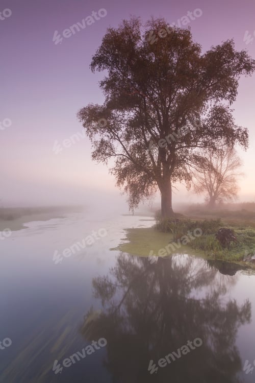 Preview: Beautiful morning mist landscape near a small river