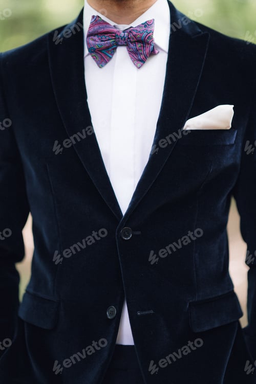 Preview: Navy business suit with a white shirt and a patterned necktie and bowtie.