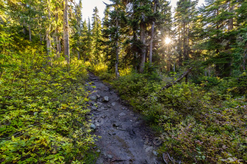 Preview: Nature in Whistler, British Columbia, Canada