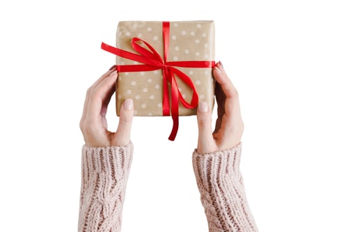 Preview: Gift Presentation With Red Ribbon in Woman's Hands
