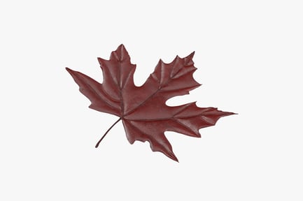 Preview: Red Maple Leaf
