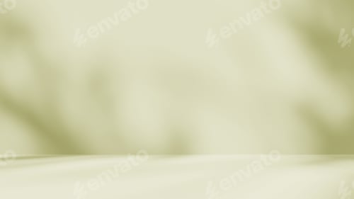 Preview: Empty light green brown room studio with leaves shadow effect overlay sunlight through the window.