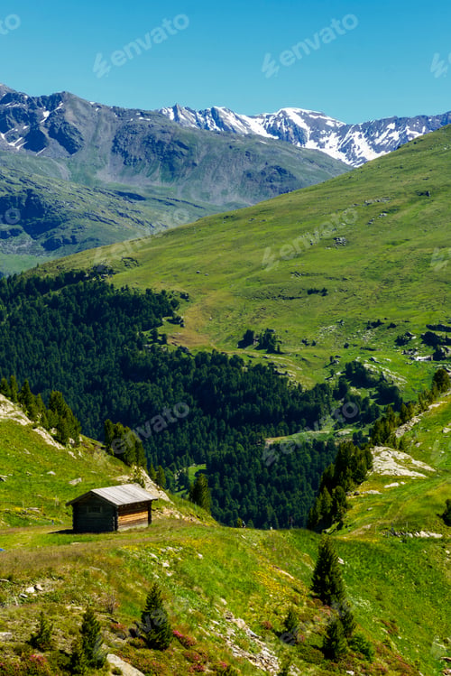 Preview: Passo Gavia, mountain pass in Lombardy, Italy, at summer