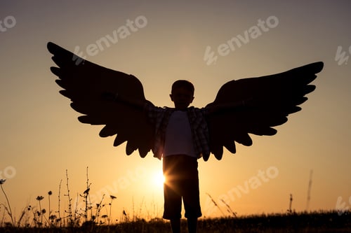 Preview: Little boy playing with cardboard toy wings in the park at the s