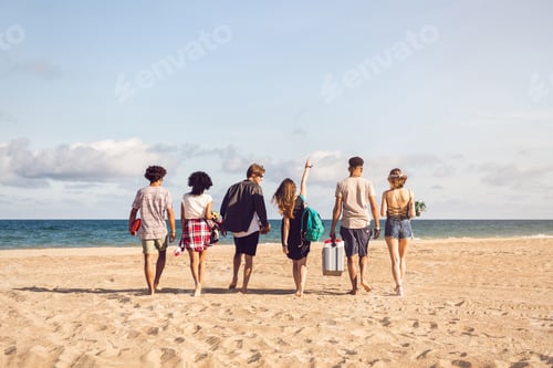 Preview: Back view of young men and woman on sea shore