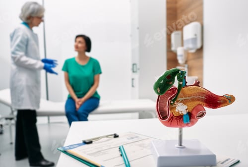 Preview: Gastroenterology consultation. Anatomical model of pancreas on doctor table over background