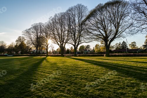 Preview: Stunning sunset scene over a park in Denmark with lush green grass and trees on either side