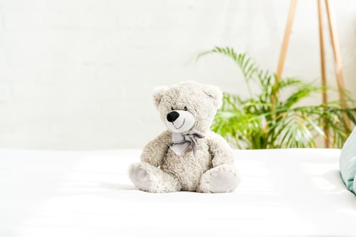 Preview: grey teddy bear near plant with green leaves at home