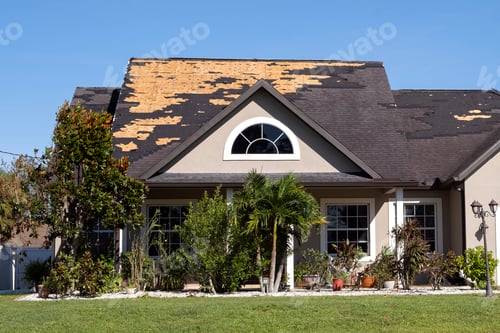 Preview: Consequences of natural disaster.
