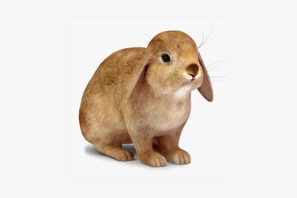 Preview: Spotted rabbit in profile