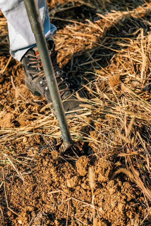 Preview: Soil Sampling. Agronomist Taking Sample With Soil Probe Sampler