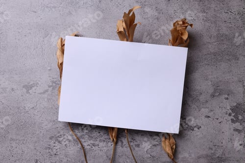 Preview: white paper mockup