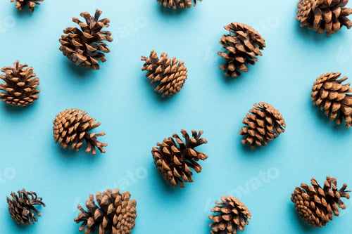 Preview: pine cones on colored table. natural holiday background with pinecones grouped together.