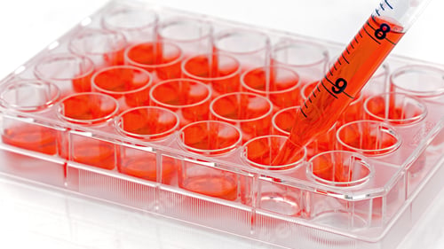 Preview: Science and Biotechnology, Laboratory Research, Cell Culture. Cells Biological Culture Concept
