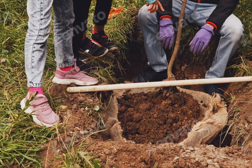 Preview: Young married couple in work uniform with shovel plant tree sapling in ground