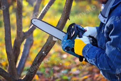 Preview: A gardener pruns trees with a lightweight cordless chain saw. Work in the autumn garden.