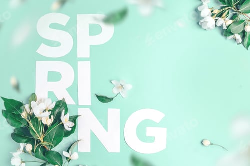 Preview: Creative layout with blooming apple tree on a blue background. Flat lay. Concept - spring minimalism