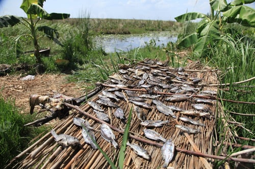 Preview: Floating Fishing Village - Uganda, Africa