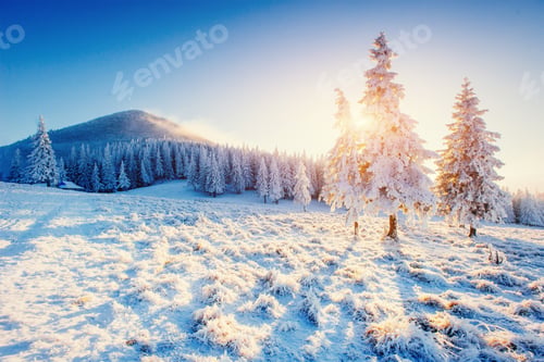Preview: Fantastic winter landscape in the mountains of Ukraine. In antic