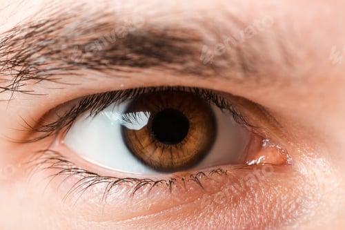Preview: cropped view of man looking at camera