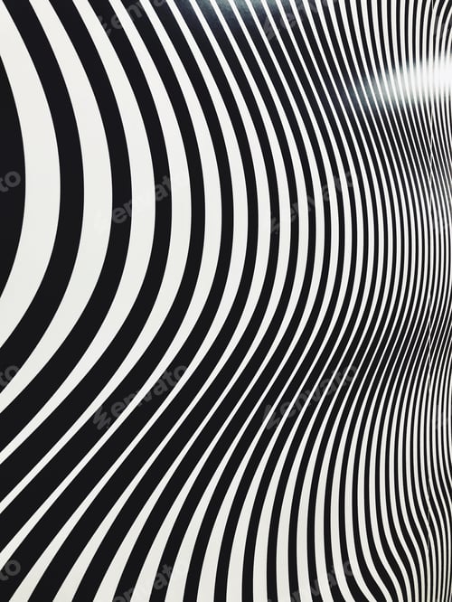 Preview: Abstract black and white lines curves background