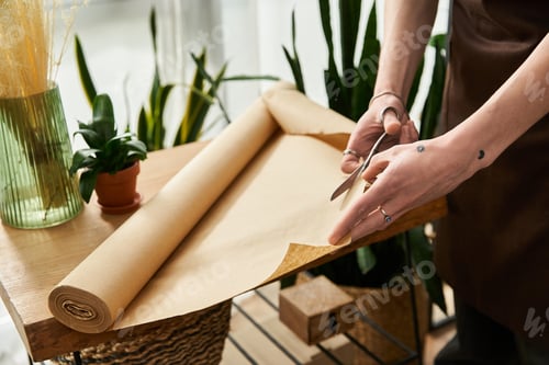 Preview: Handsome young man skillfully transplanting plants in a bright studio filled with greenery