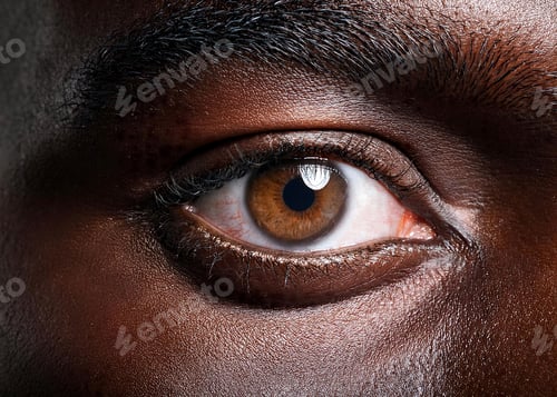 Preview: Close up of a human eye