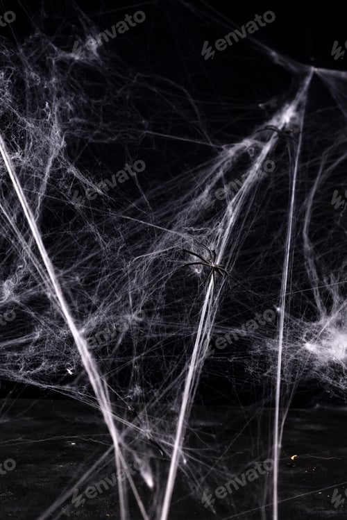 Preview: halloween, decoration and horror concept