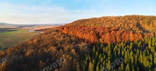 Preview: Aerial view of hills covered with dark mixed pine and lush forest with green and yellow trees