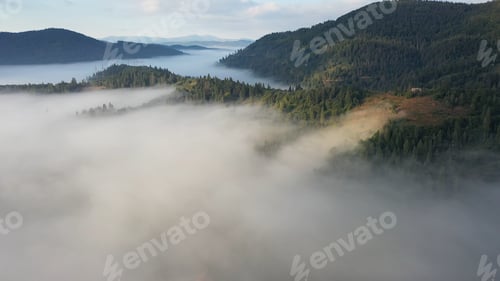 Preview: Aerial view of colorful mixed forest shrouded in morning fog on a beautiful autumn day
