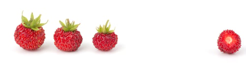 Preview: Wild strawberry isolated on white background closeup
