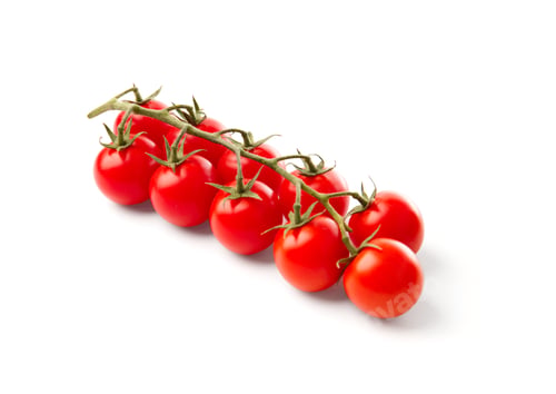 Preview: Branch of cherry tomatoes on a white background